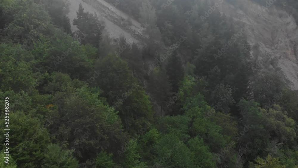 Mountain slope covered with forest. Subcarpathian region, Poland. Bird's-eye view. Mountain slope covered with forest. Subcarpathian region, Poland. Bird's-eye view.