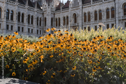 Flowers near Hungarian Parliament Building