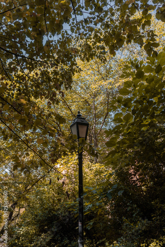 lantern in the park