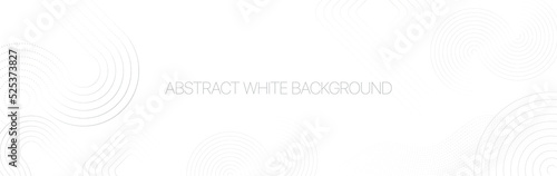 Abstract background white and gray curve circle with haltone. Vector illustration