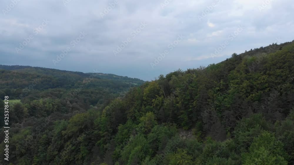 Mountain slope covered with forest. Subcarpathian region, Poland. Bird's-eye view. Mountain slope covered with forest. Subcarpathian region, Poland. Bird's-eye view.