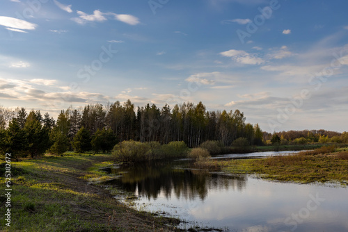 Picturesque landscape in early spring. Sunny evening. Young greens break through dry grass. By the river. © Sergei