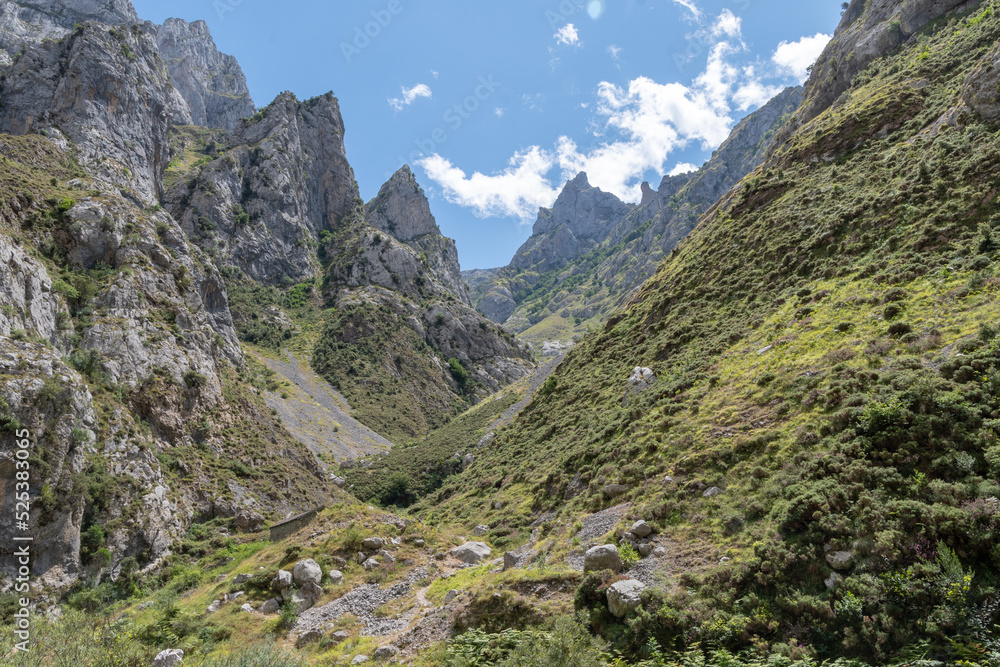 Fototapeta premium Ruta del Cares, Parque Nacional de los Picos de Europa, España