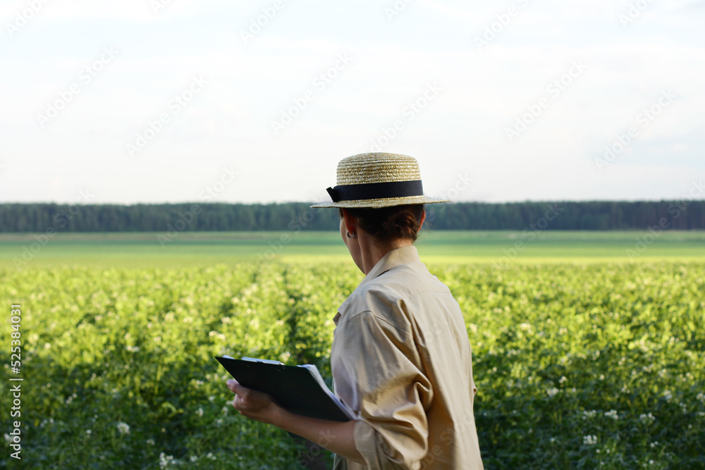 The farmer controls the quality of the potato crop. Female agronomist in agriculture