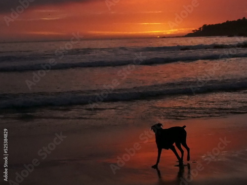 sunset on the beach