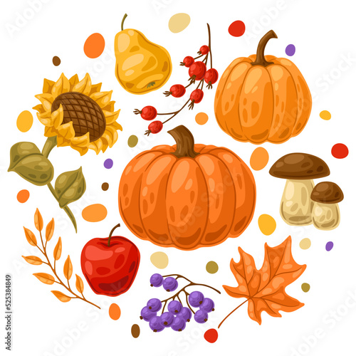 Background with autumn plants. Harvest illustration of vegetables and leaves.