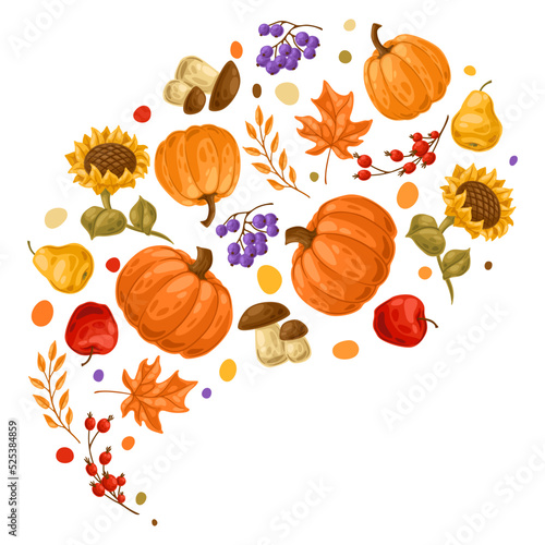 Background with autumn plants. Harvest illustration of vegetables and leaves.