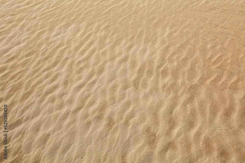 Wind pattern on desert sand Wind pattern on desert sand