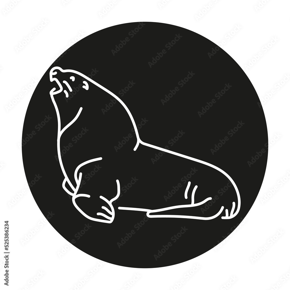 Steller sea lion color line illustration. Marine mammals. Steller sea lion color line illustration. Marine mammals.