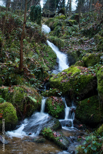 Small wooden bridge over a small waterfall surrounded by green plants and moss covered rocks on a fall day at Gaisholl waterfalls in the Black Forest of Germany. photo