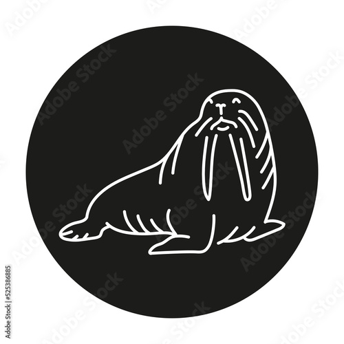 Walrus color line illustration. Marine mammals.