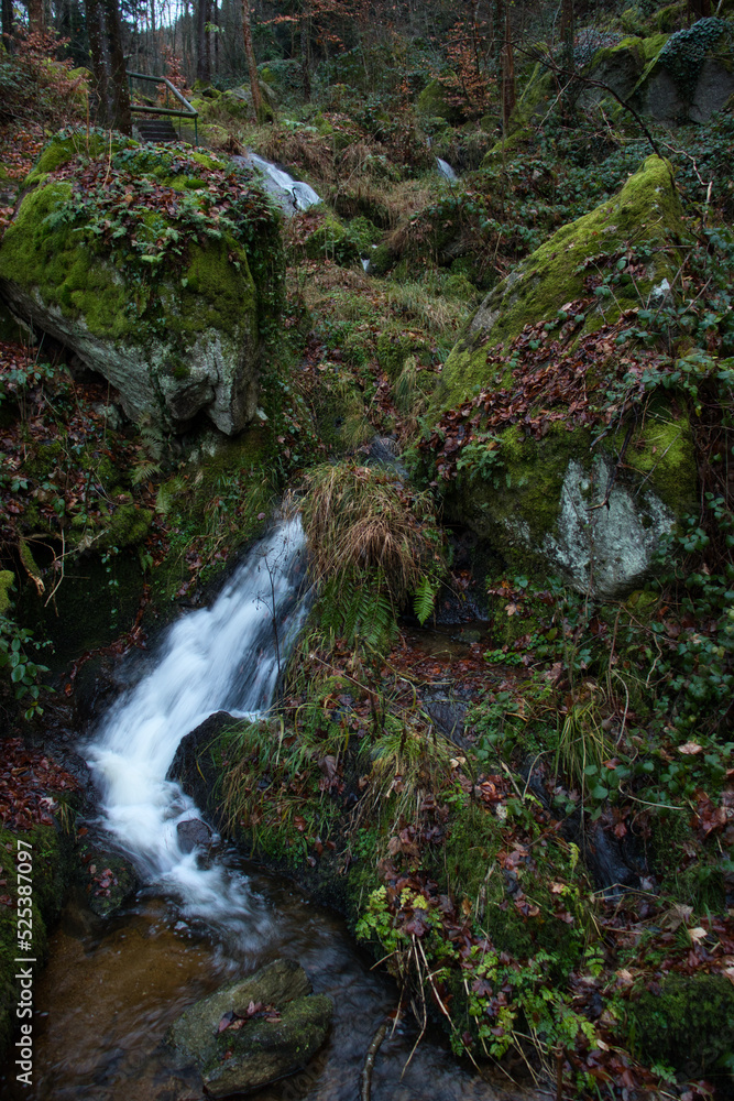 Walking path next to Gaisholl waterfalls on a fall day in the Black Forest of Germany. Walking path next to Gaisholl waterfalls on a fall day in the Black Forest of Germany.