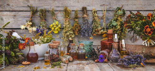Obraz na plátně Medicinal herbs and tinctures homeopathy. Selective focus.