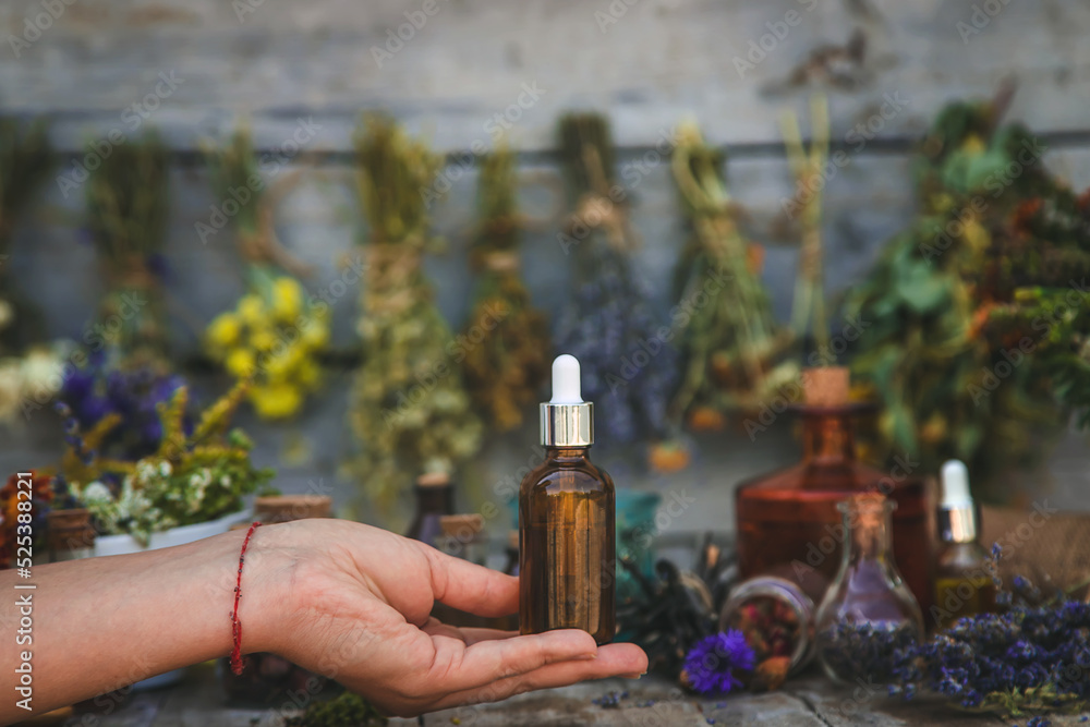 Fototapeta premium Medicinal herbs and tinctures homeopathy. Selective focus.