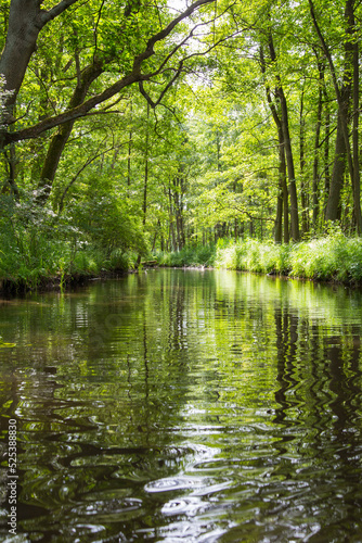 Wasserwanderung, Fluss im Wald, Wasserweg