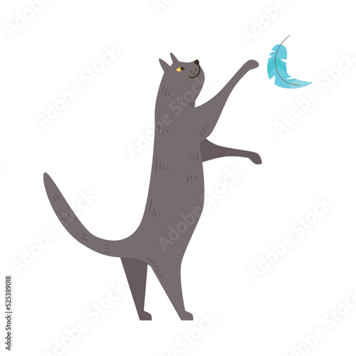 Smiling gray cat playing with blue feather flat style