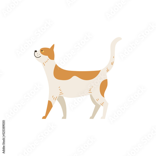 Cute cat walking, cartoon flat vector illustration isolated on white background.