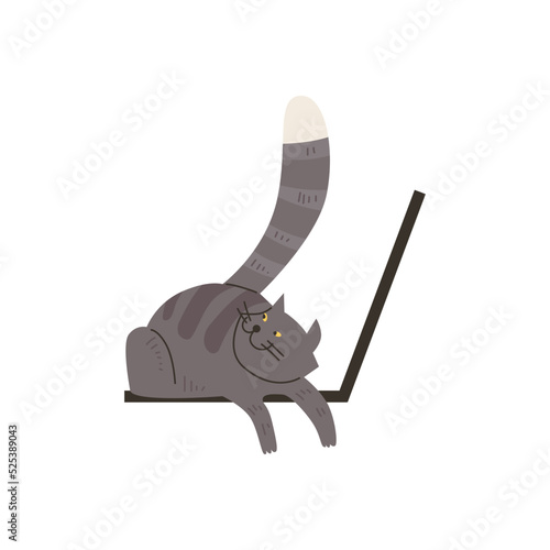 Obraz na plátně Cunning gray tabby cat lying on laptop flat style, vector illustration