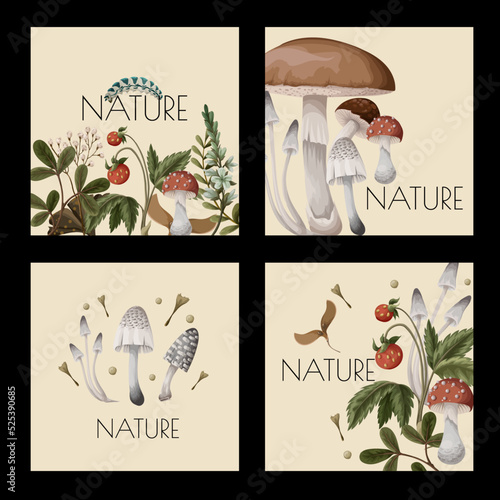 Autumn cards with mushrooms, berries and bugs. Natural trendy print.