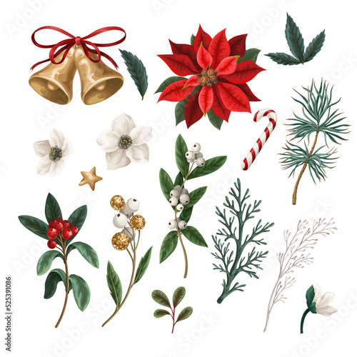 Christmas botanical plants, flowers and bells isolated. Textile or wallpaper print.