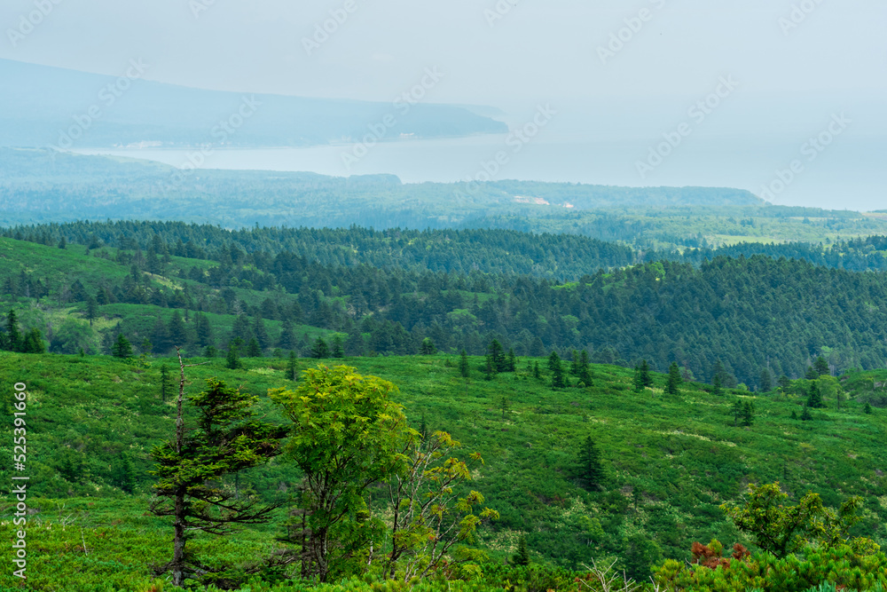 typical landscape of the southern Kuriles, view of Kunashir Island from the slope of Golovnin volcano, slope of Mendeleyev volcano is visible in the distance in the haze