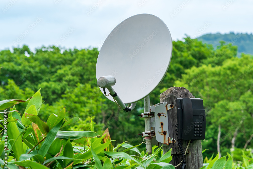 public satellite phone for emergency communication among bamboo thickets in the wilderness in the reserve