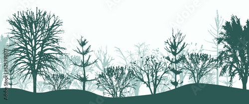 Green silhouettes of trees in forest background. Mystical morning thicket of spruce and beeches with bushes in light fog. Mysterious landscape in natural vector design