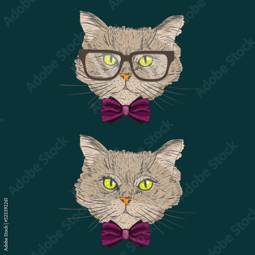Portrait of a cat with bow tie and glasses hipster with look isolated vector illustration