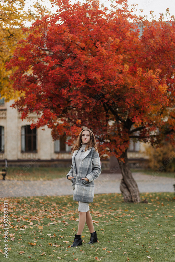 Portrait of young smiling girl in a gray dress at autumn park 