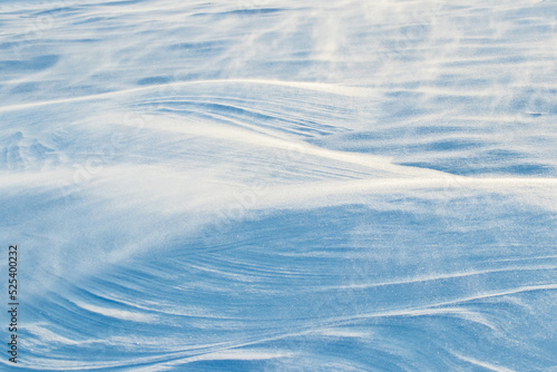 Snowy background, snow-covered wavy surface of the earth after a blizzard in the morning in the sunlight