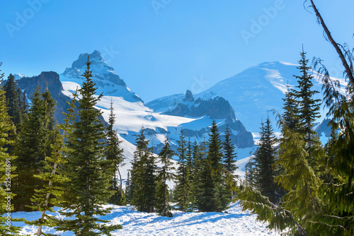 Mt Rainier in early summer