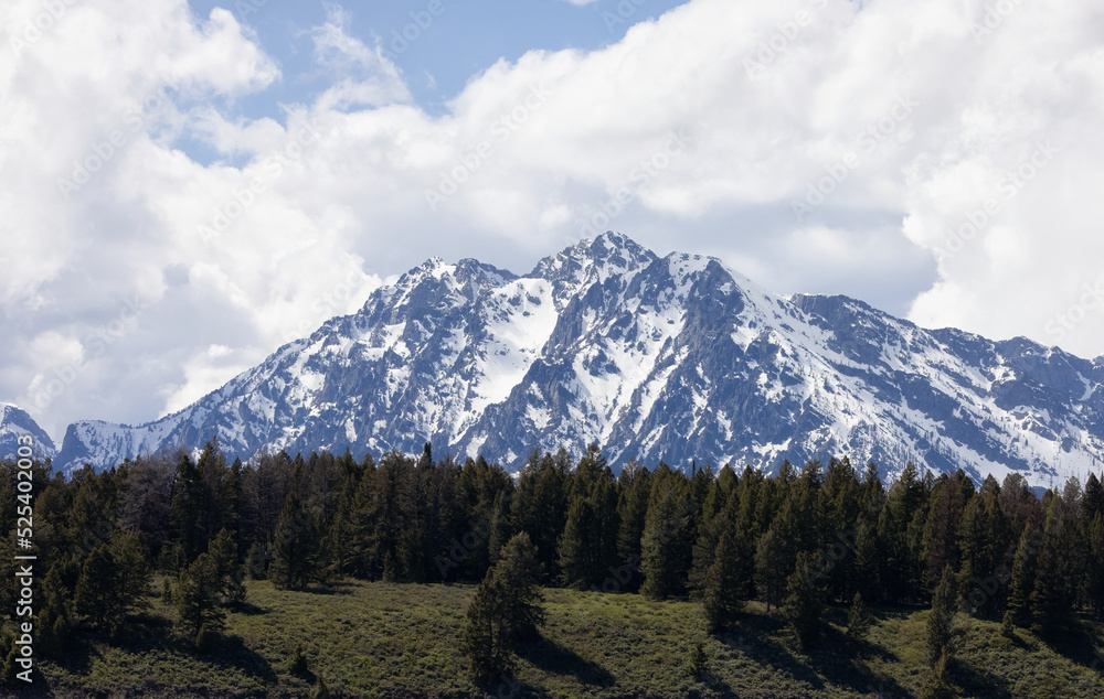 Trees, Land and Mountains in American Landscape. Spring Season. Grand Teton National Park. Wyoming, United States. Nature Background.