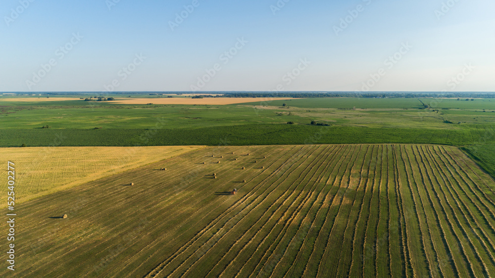 Aerial view tractor with baling machine making silage bales on farmland at agricultural field. Drone shot haystack and harvesting dry grass for agriculture. Farmers season to cut and harvest crops