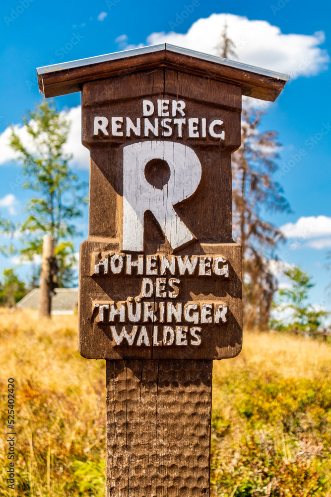 Sommerwanderung entlang des Rennsteigs bei zwischen Brotterode und Eisenach bei schönstem Sonnenschein - Thüringen - Deutschland