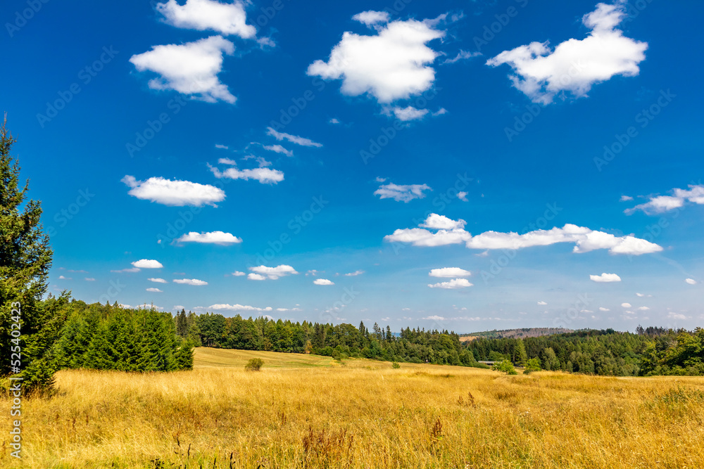 Obraz premium Sommerwanderung entlang des Rennsteigs bei zwischen Brotterode und Eisenach bei schönstem Sonnenschein - Thüringen - Deutschland