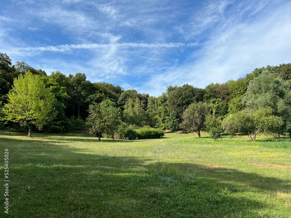 Slavonian pastures and mixed forest in the area of the significant landscape of Sovsko lake - Caglin, Croatia (Slavonski pašnjaci i miješana šuma na području značajnog krajolika Sovsko jezero)