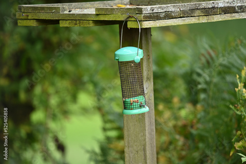 Empty bird feeder