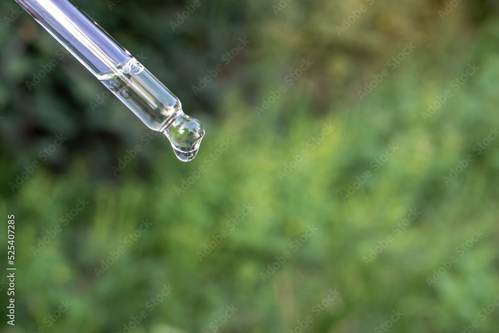 Female hand holding pipet with drop of face serum or essential oil on green nature background. Natural organic spa cosmetic concept. Copy space