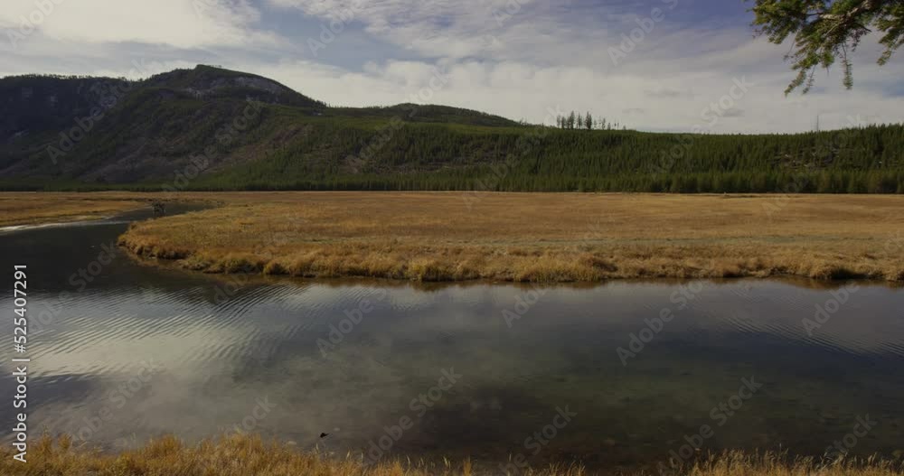 A large river in between grass plains in Yellowstone National Park A large river in between grass plains in Yellowstone National Park