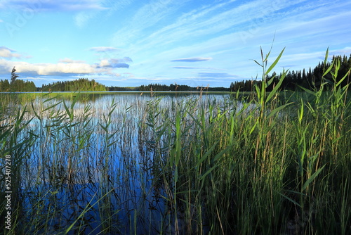 Nice evening photo at a calm lake. Swedish nature 2022. J  mtland  Sweden.