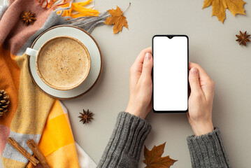First person top view photo of female hands in sweater holding smartphone cup of coffee on saucer plaid yellow maple leaves pine cone anise cinnamon sticks on isolated grey background with blank space