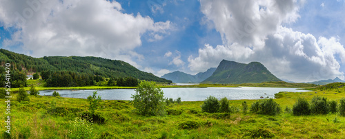 Photography Lofoten fjord summer overcast view