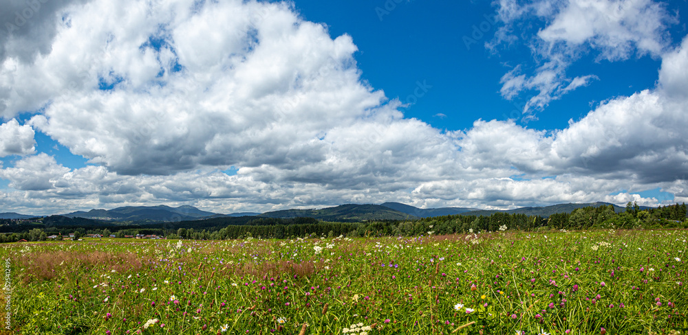 Fototapeta premium Landschaft im Bayerischen Wald am Grossen Arber