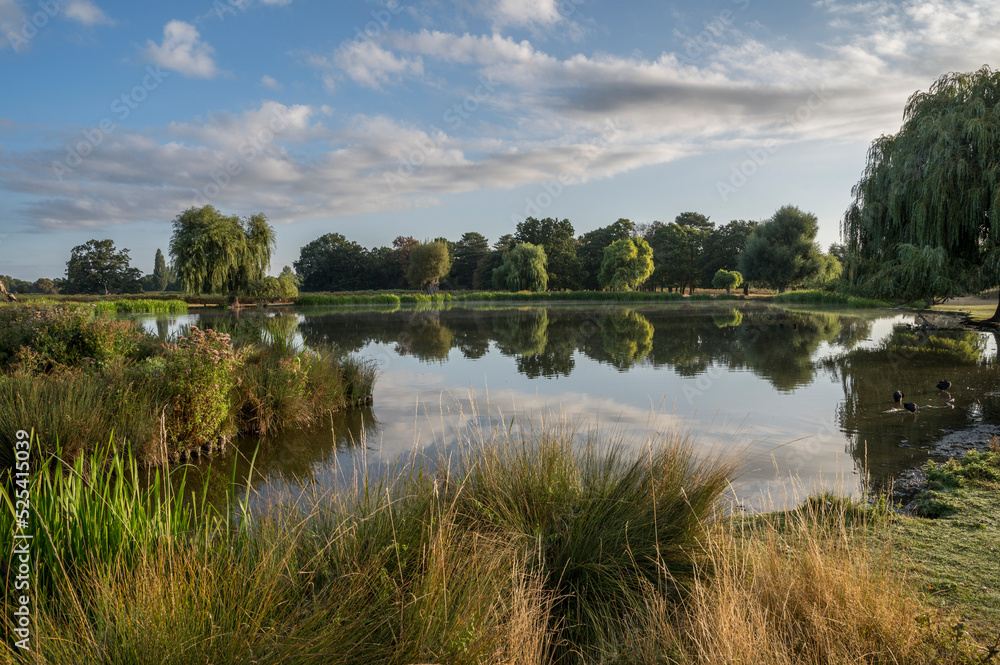 Fototapeta premium Colours of the morning light