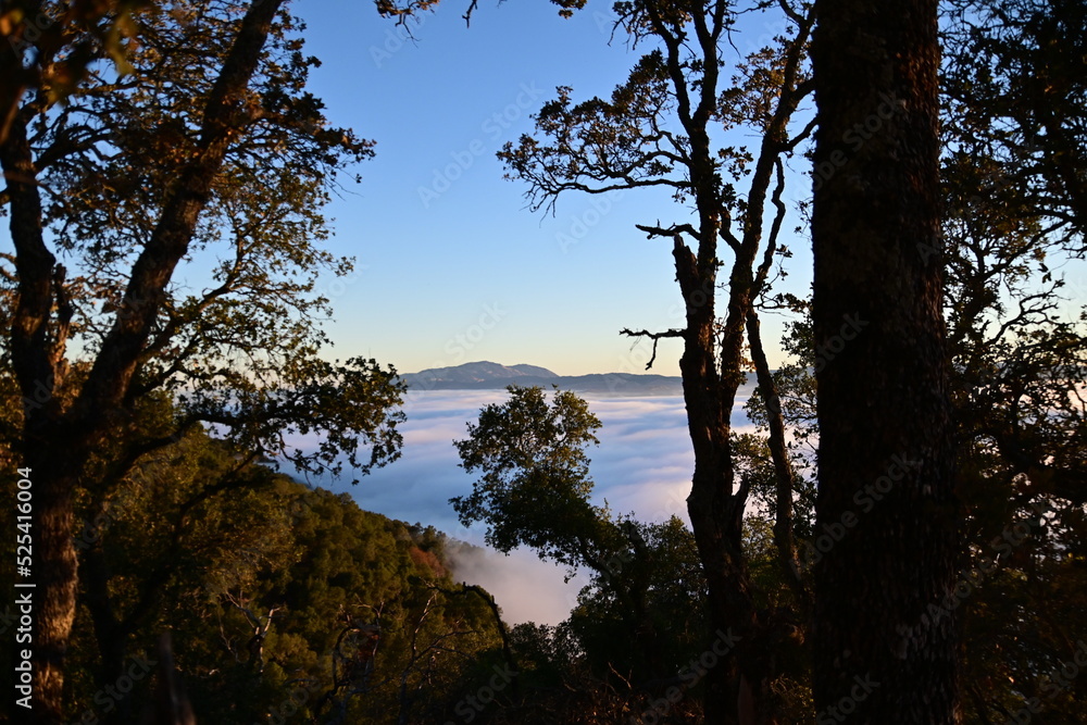 Fototapeta premium cloudy Mt. diablo