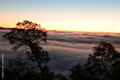 dawn over clouds