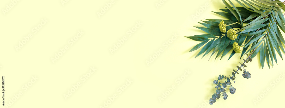 Creative flat lay top view of green tropical palm and eucalyptus leaves on yellow  paper background.