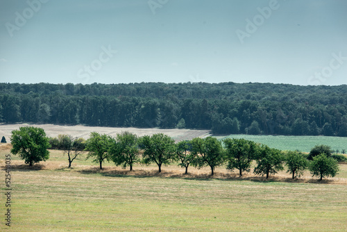 Blick nach Südwest von der Burg Münzenberg photo