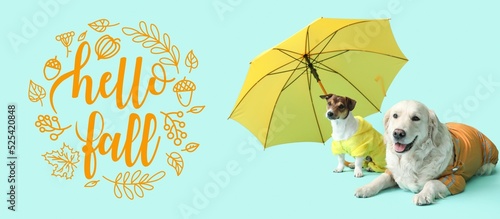Canvas Print Funny dogs with umbrella on light blue background. Hello, autumn