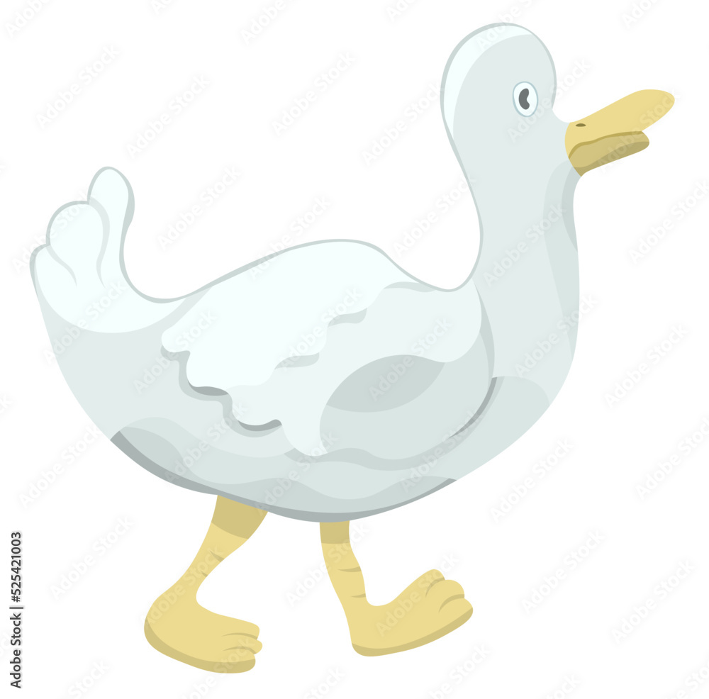 Funny cartoon duck walking bird wildlife illustration Funny cartoon duck walking bird wildlife illustration